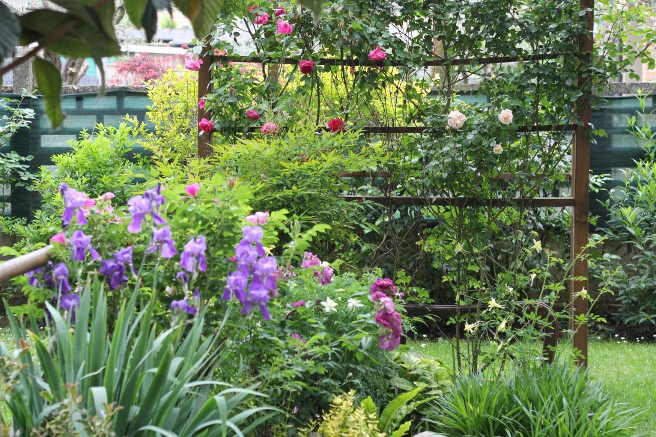 Bed and Breakfast Il Giardino Trenzano Exteriér fotografie